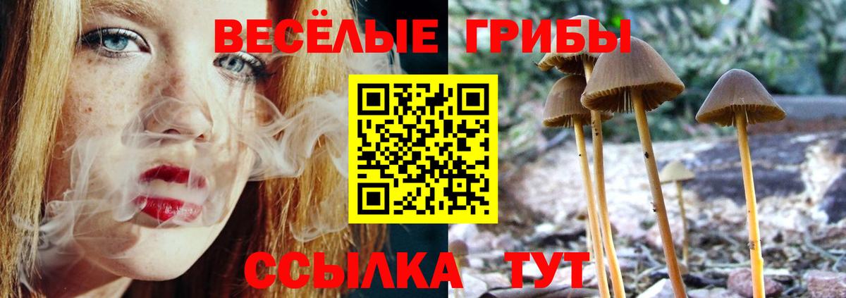 Галлюциногенные грибы Psilocybine cubensis  Вход с VPN  Галлюциногенные грибы GOLDEN TEACHER  Ахтубинск 
